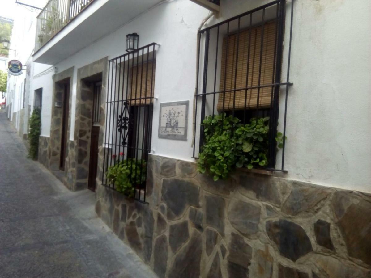 בית הארחה אל בוסקה 	Casa Rural Majaceite מראה חיצוני תמונה