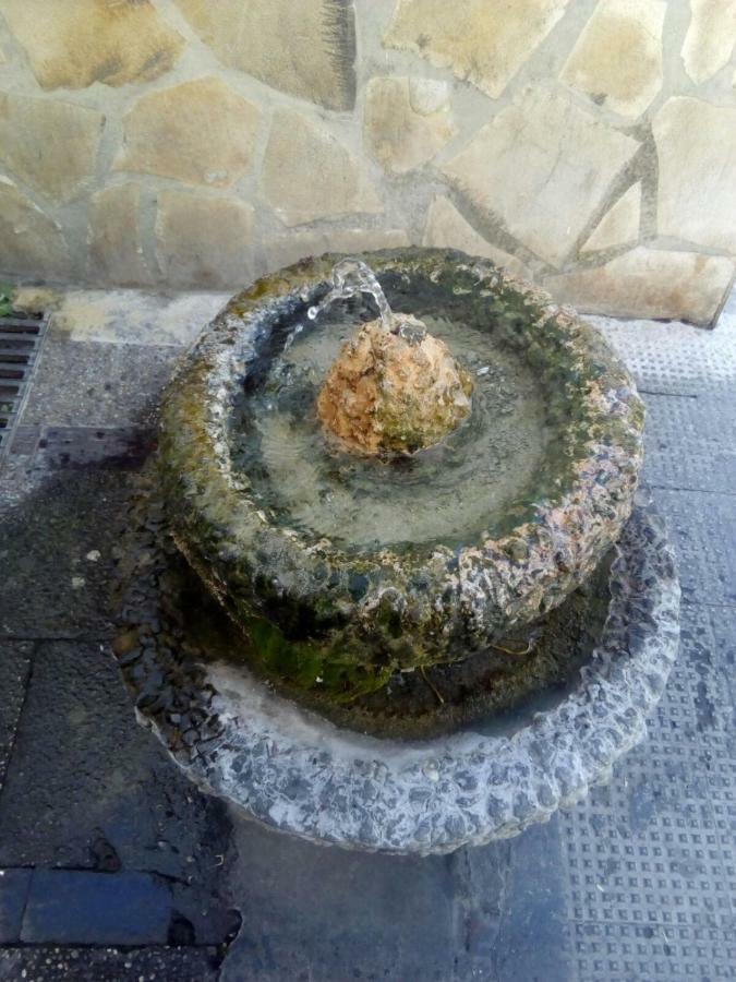בית הארחה אל בוסקה 	Casa Rural Majaceite מראה חיצוני תמונה